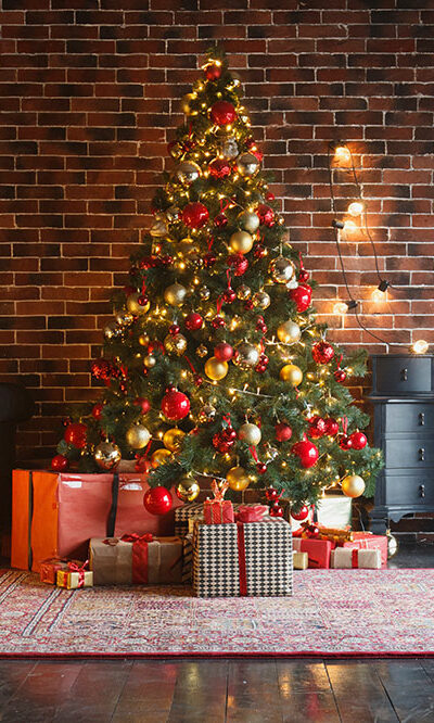 All things Christmas – Ideas for trees, gifts, and more
